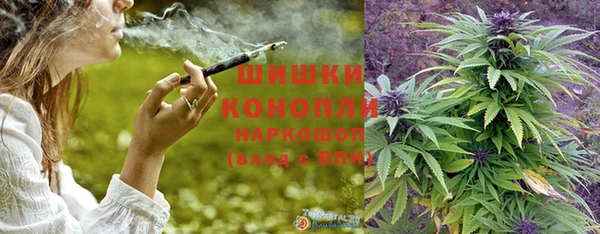 сатива Покровск