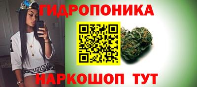 сатива Беслан