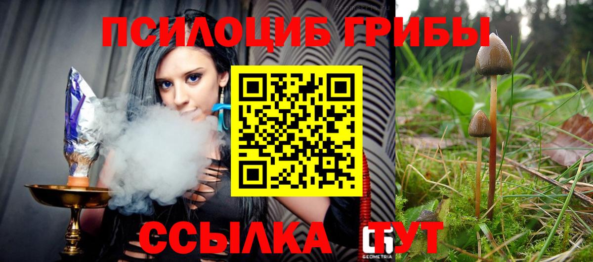 Псилоцибиновые грибы ЛСД Кушва