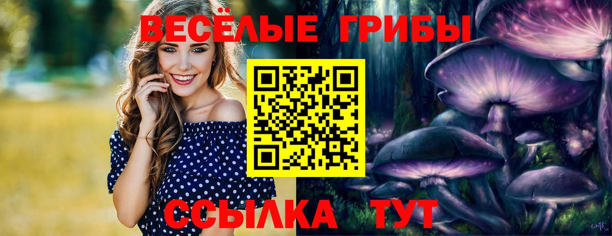 Галлюциногенные грибы GOLDEN TEACHER Кушва