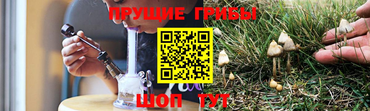 Псилоцибиновые грибы мицелий  Псилоцибиновые грибы Cubensis  Вход с VPN  Кушва 
