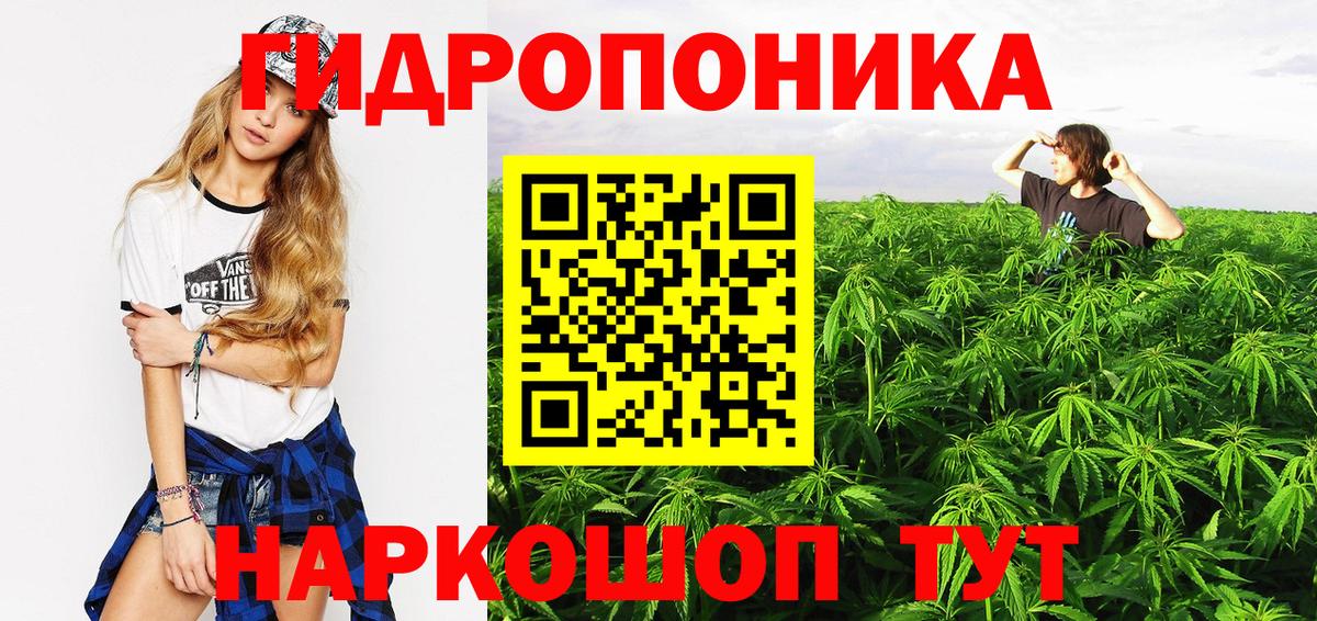 МАРИХУАНА SATIVA & INDICA  Конопля Bruce Banner  Кушва 